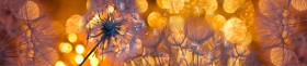 Кухонный фартук Мерцание Одуванчики золотистые 3 серебро в Пушкине - pushkin.katalogmebeli.com | фото